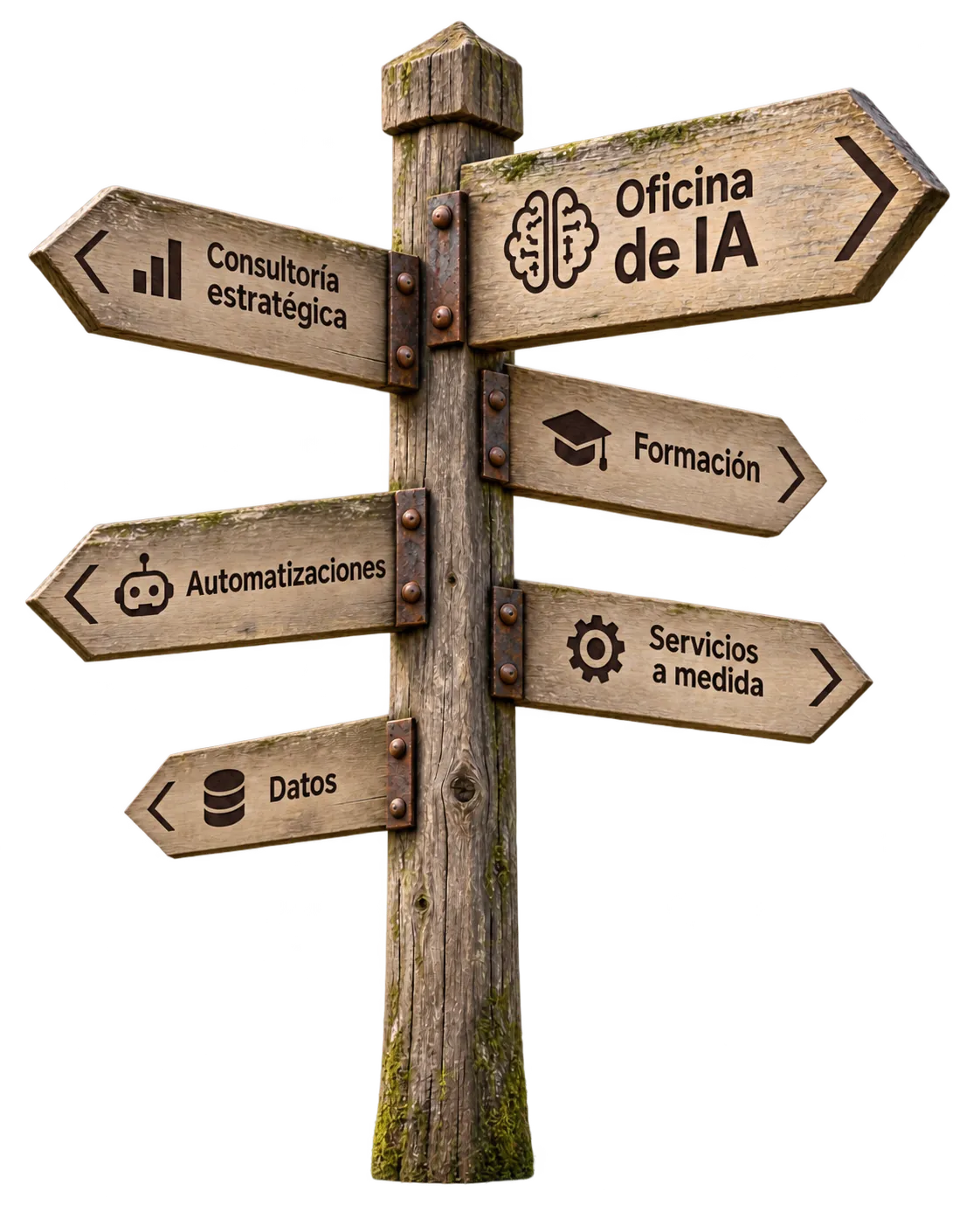 Signpost with the JAV BRAIN lines of work